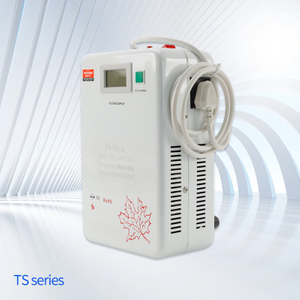 ผู้ผลิต Wholesales TS Series Interconversion Power Voltage แรงดันไฟฟ้าแปลงกำลังการแปลงพลังงาน